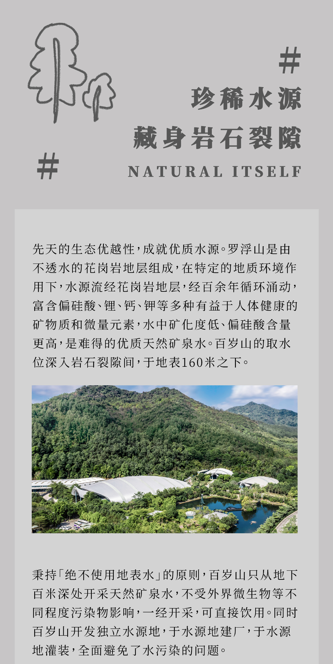 逐梦国际-专一品牌营销影视制作文化公司
