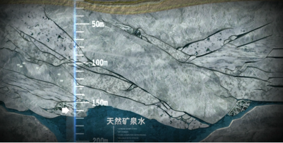 逐梦国际-专一品牌营销影视制作文化公司