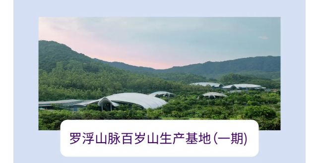 逐梦国际-专一品牌营销影视制作文化公司