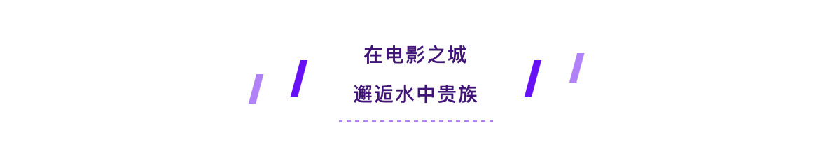 逐梦国际-专一品牌营销影视制作文化公司